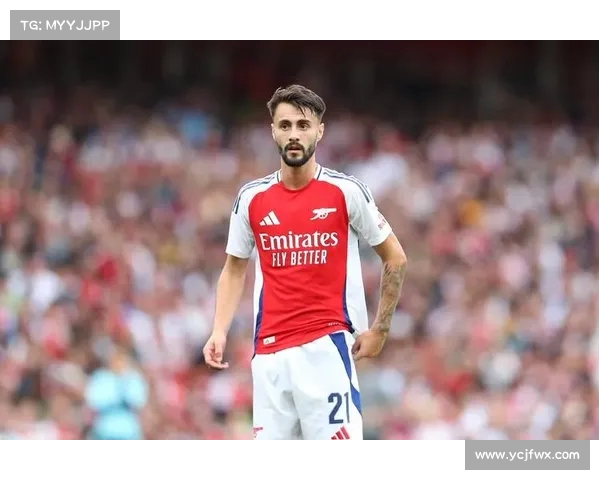 斯图加特与阿森纳就签下法比奥维埃拉展开谈判接触 斯图加特与阿森纳就签下法比奥维埃拉展开谈判接触